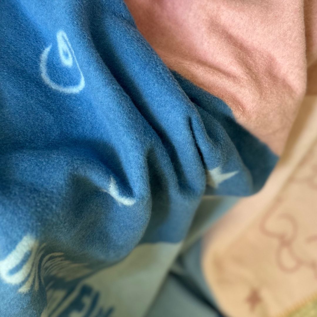 Elefant & Hase Kolter